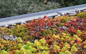 the cost of Codnor green roof installation