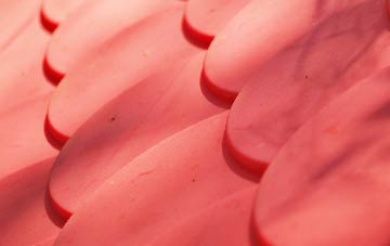 Codnor plastic roof costs