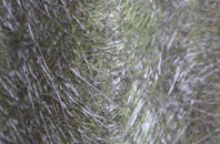 Codnor fibreglass roof work